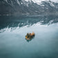 Brienz