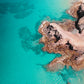 Papagayo