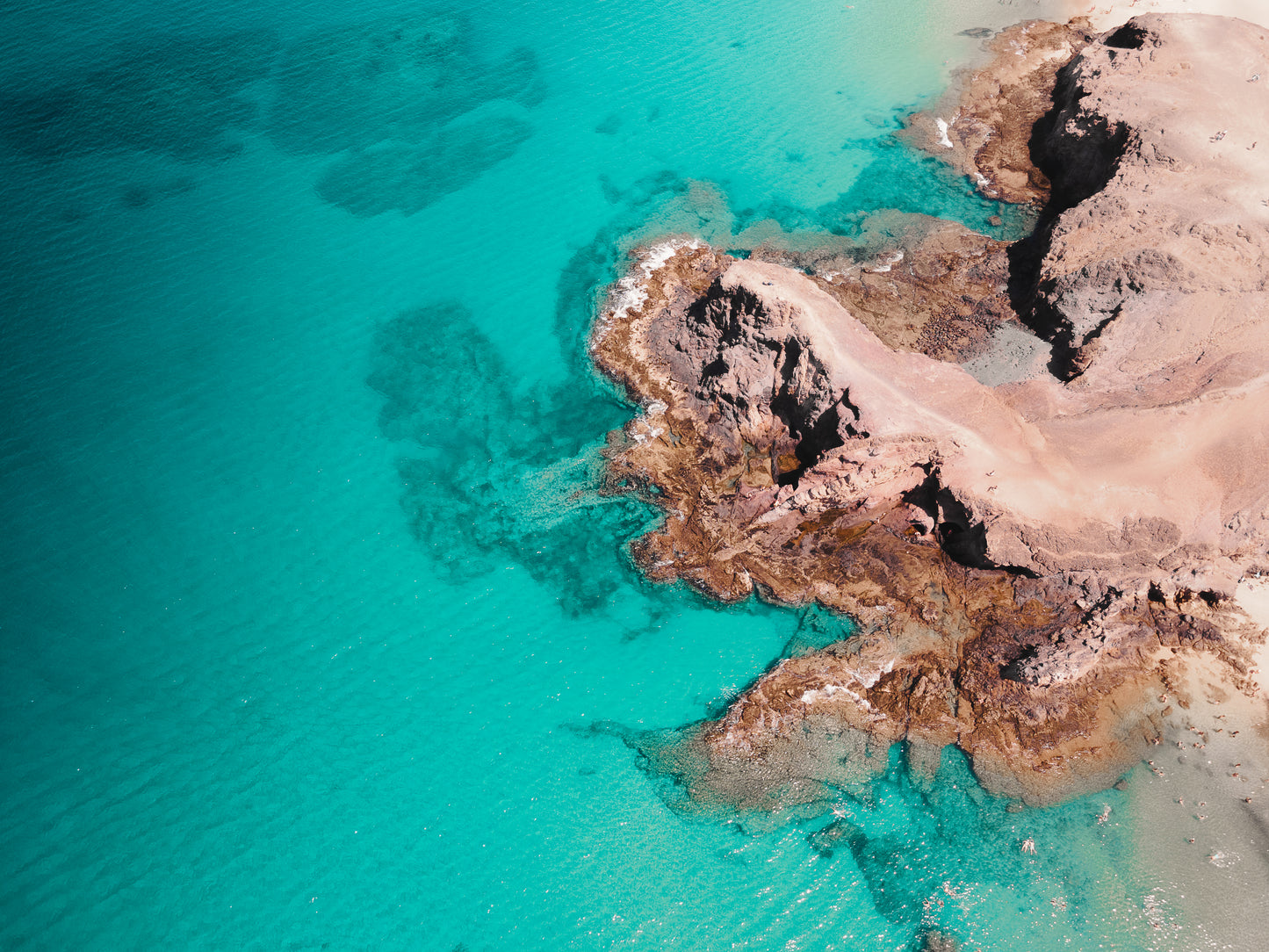 Papagayo