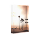 Newport Beach - Bloc Photo Plexi 3D