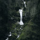 Cascade Bernoise